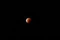 D_20150928-052942 IMG_0558